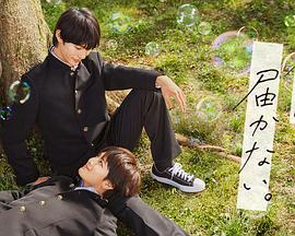 无码专区人妻系列日韩精品